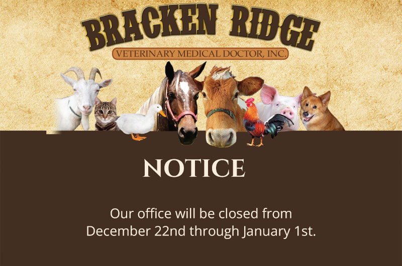 Veterinarian Animal Hospital Bracken Ridge Veterinary Medical Doctor