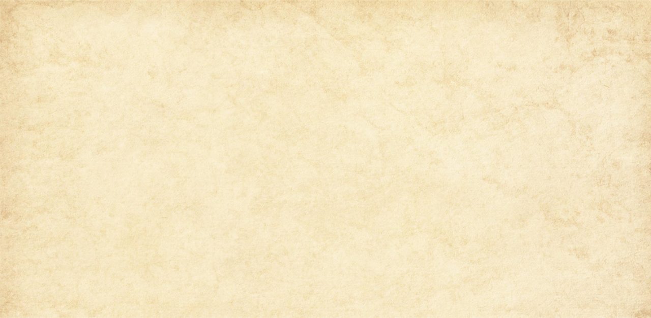 Veterinarian Animal Hospital Bracken Ridge Veterinary Medical Doctor